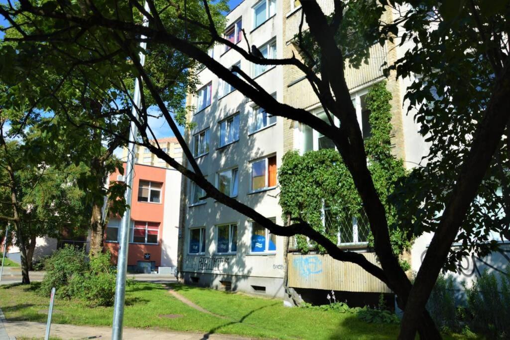 Slucko Central Studio Apartment Near River Βίλνιους Εξωτερικό φωτογραφία